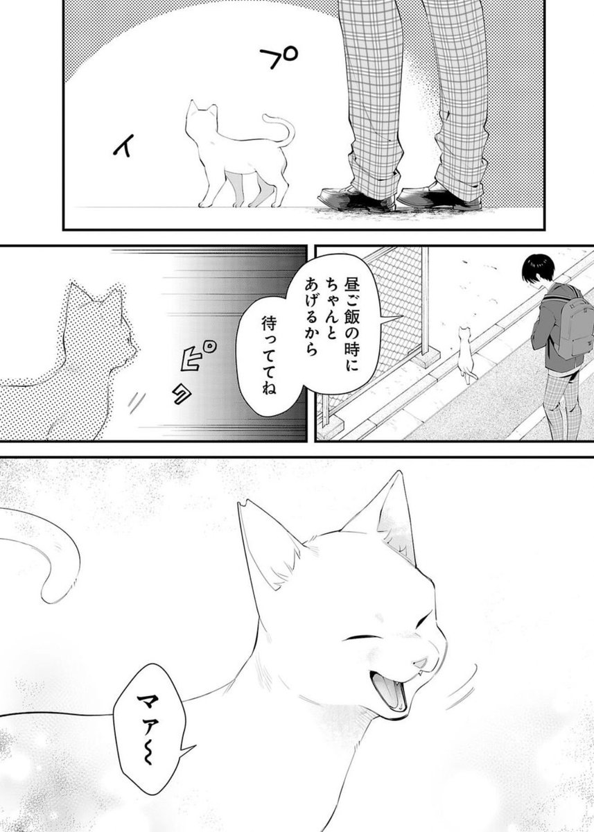 猫が引き寄せたふたりの恋模様(1/11) 