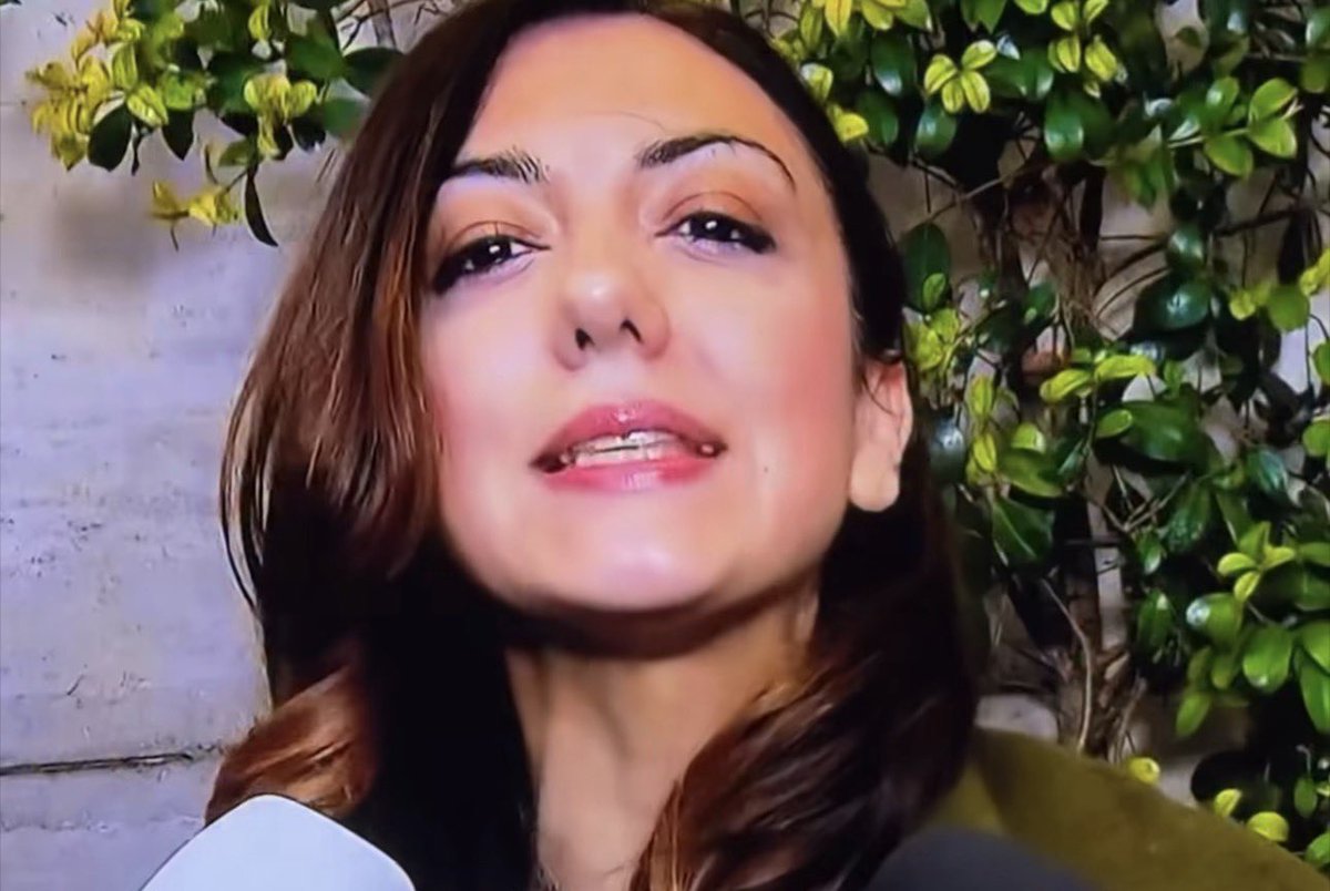 Una come la pregiudicata Augusta Montaruli (bau bau) condannata dalla Corte suprema di cassazione in via definitiva a 1 anno e 6 mesi per peculato, si presenta in TV e fa campagna per il SÌ al referendum. E io con certa gente non voglio avere nulla a che fare. E voterò No.