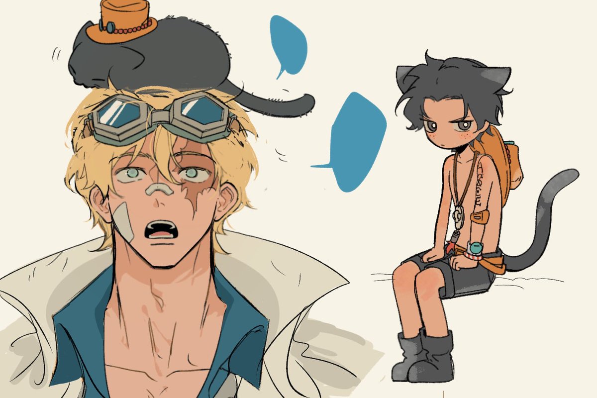 实则不然 tweet media