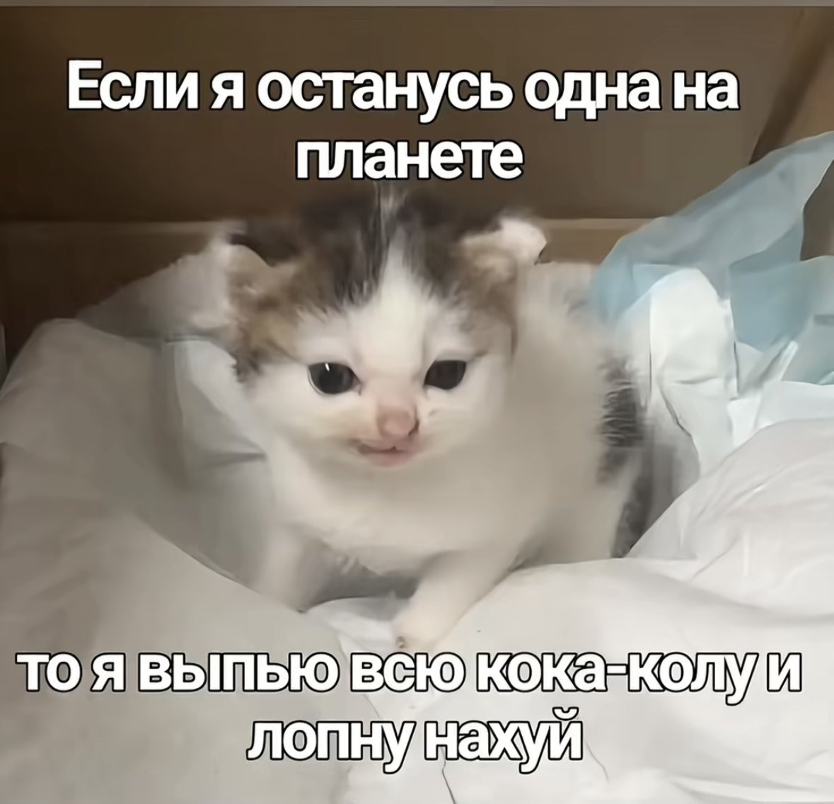 Повседневная грязь tweet media