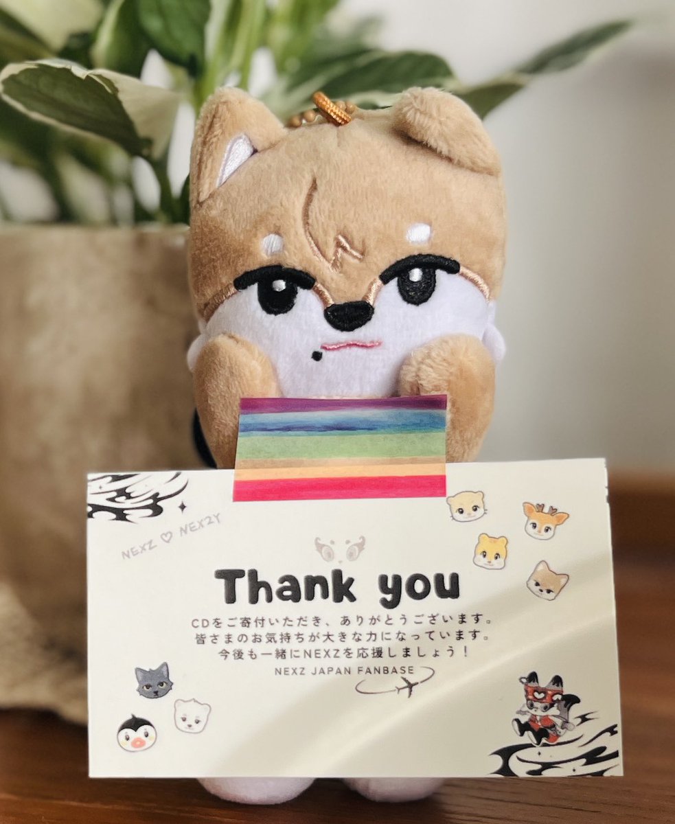 私の元にも寄付分のZOOとトレカたちが届き、ゴンスキーとハルベアを