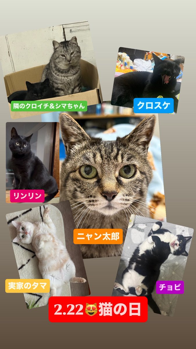 にゃんたろう