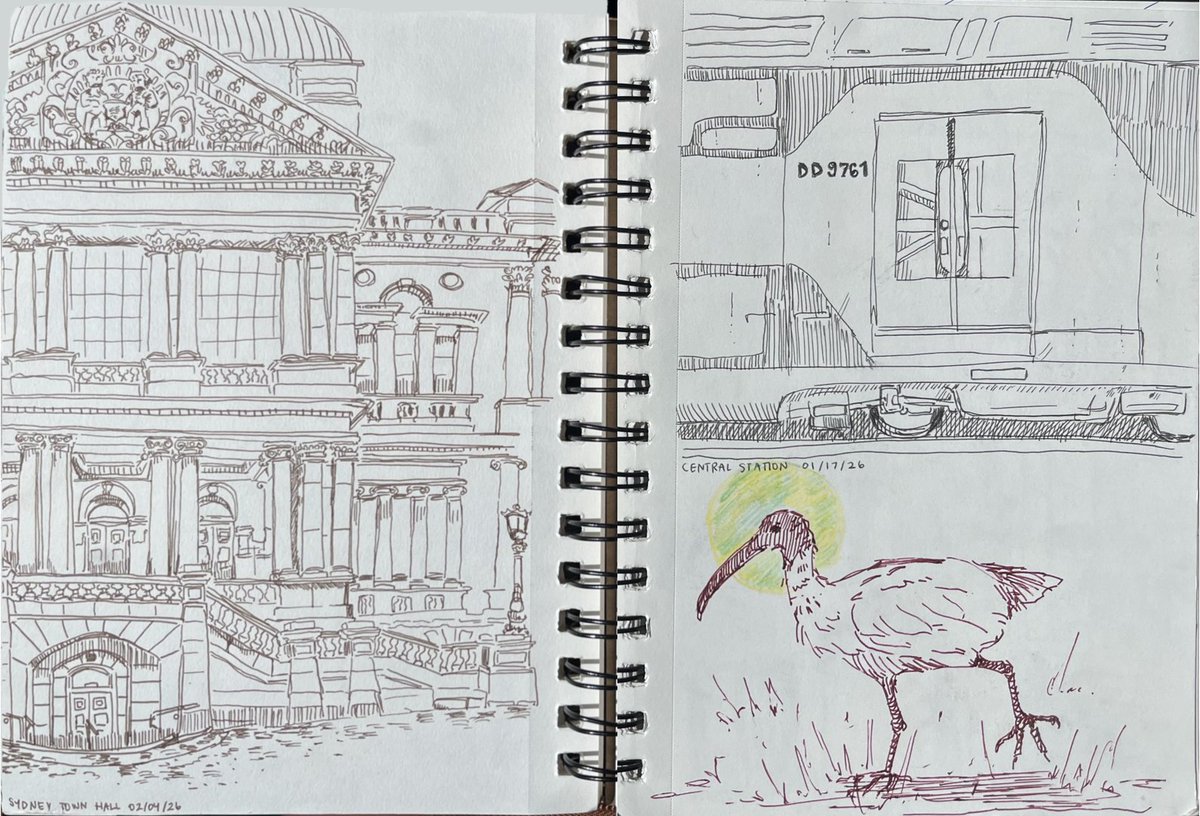 seta setacin tweet media