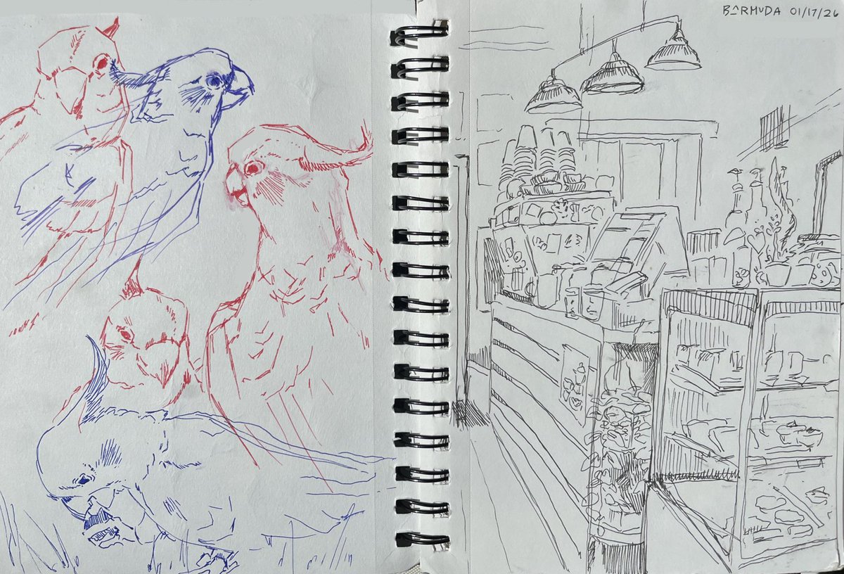 seta setacin tweet media