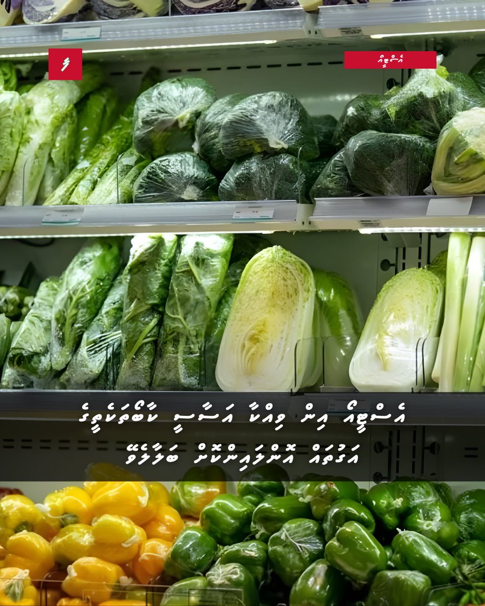 Farudhun tweet media