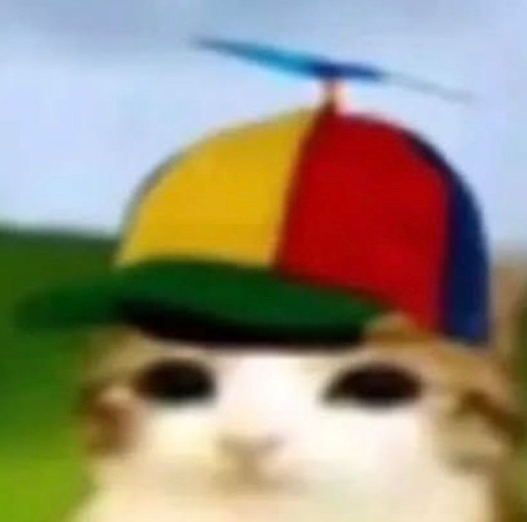 𝙍𝙊𝙂𝙀𝙍𝙎 tweet media