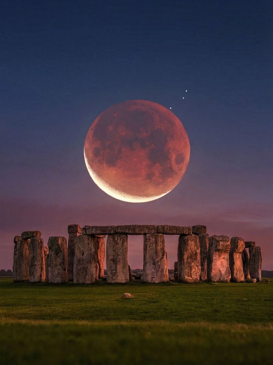 MOON LOVER tweet media