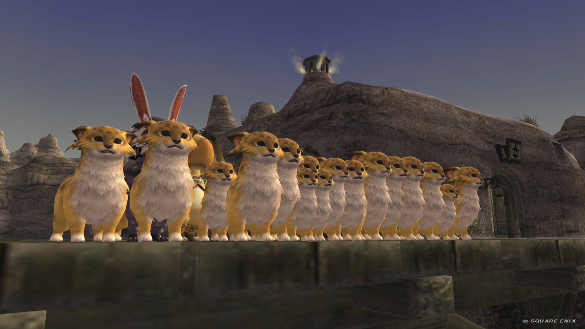 nyaaaBoss tweet media