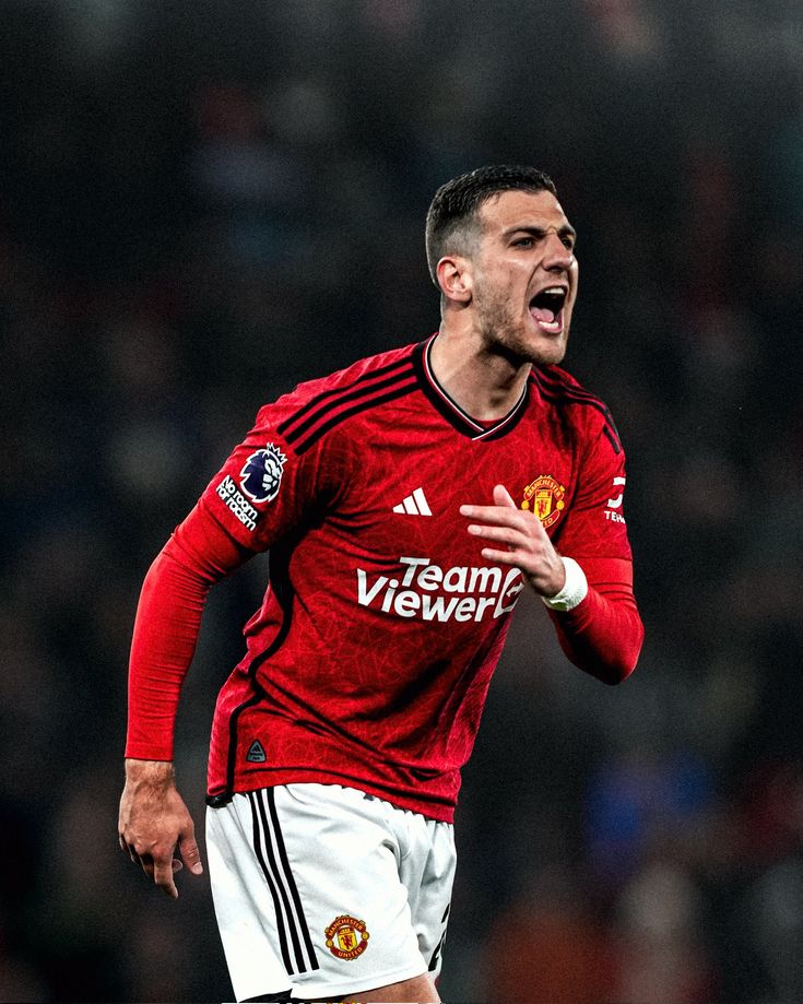 Cynthia Martins 🔴 tweet media