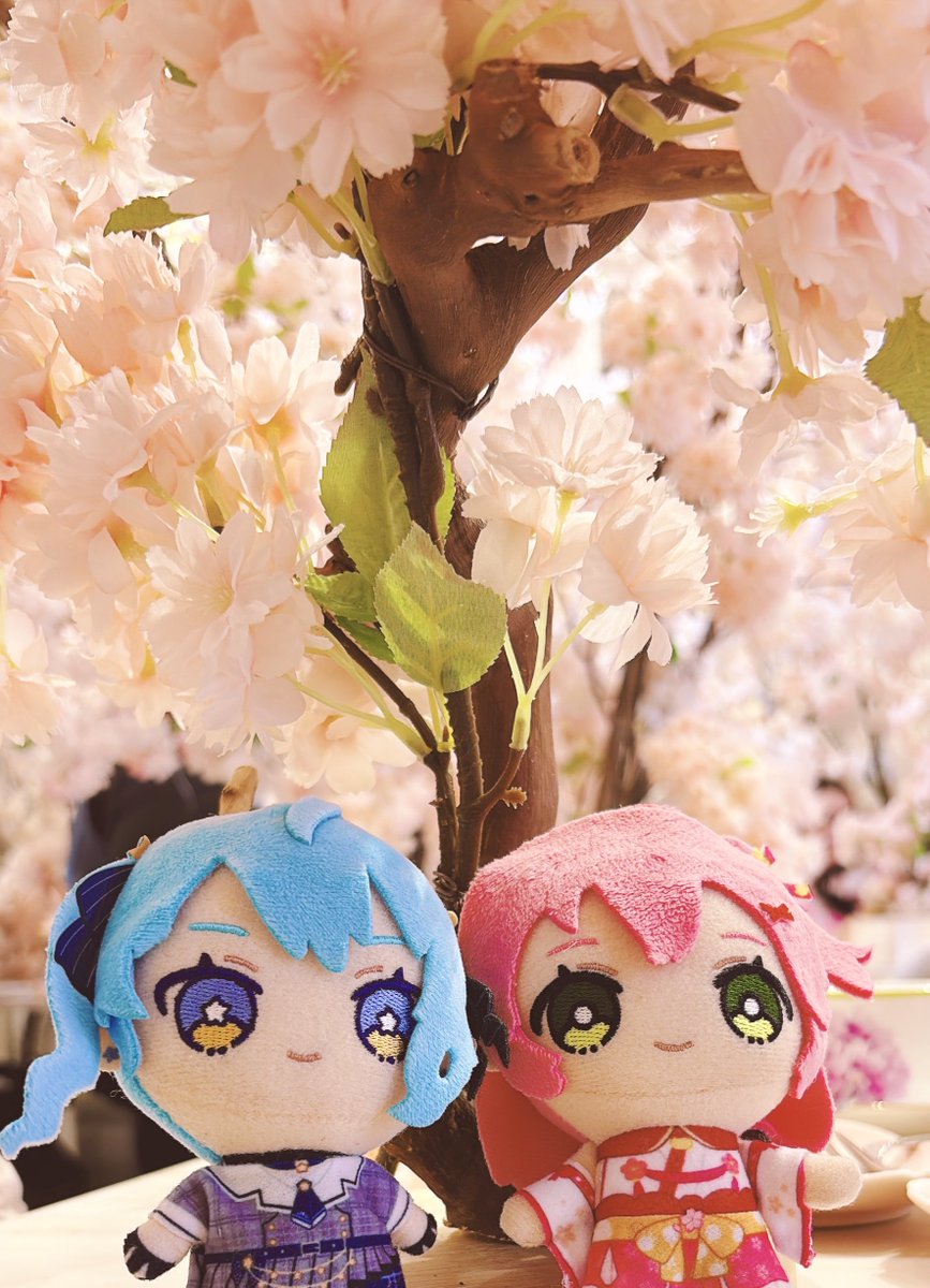 まめたろ (@mamemu_22) / Posts / X