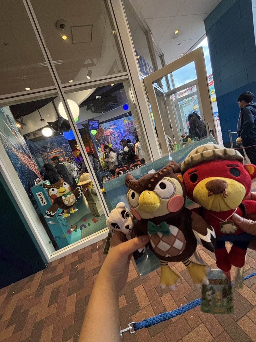 serippp_'s tweet photo. あつもり水族館🥲💕 https://t.co/XyTGO1Bvsw