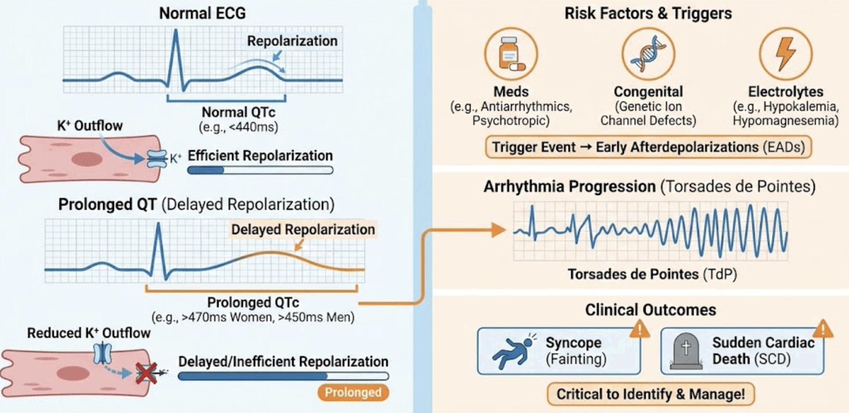 StudyXing Medicine tweet media