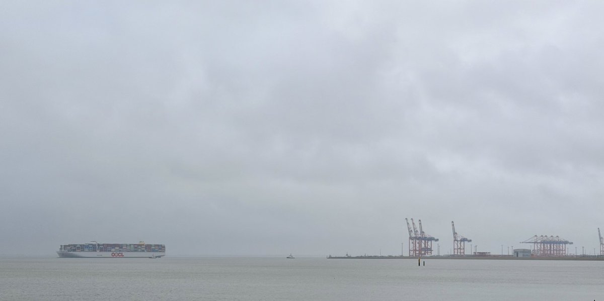 Malte Kirchner  tweet media