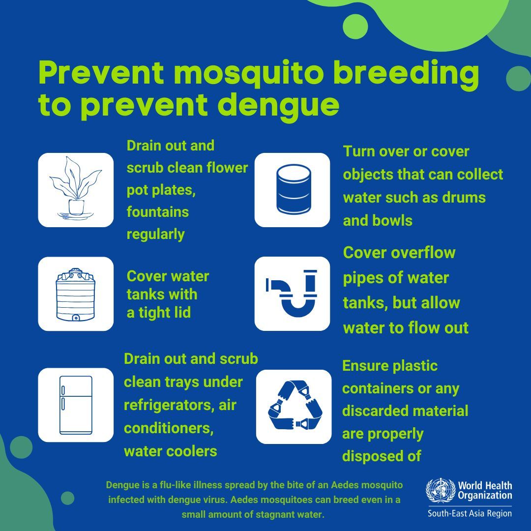 WHOSEARO's tweet image. Dengue is preventable.

Aedes mosquitoes can breed in even a small amount of stagnant water. Simple weekly actions can protect your family.

Protect. Prevent. Stop Dengue.

#DenguePrevention #StopDengue #HealthyHomes #PublicHealth