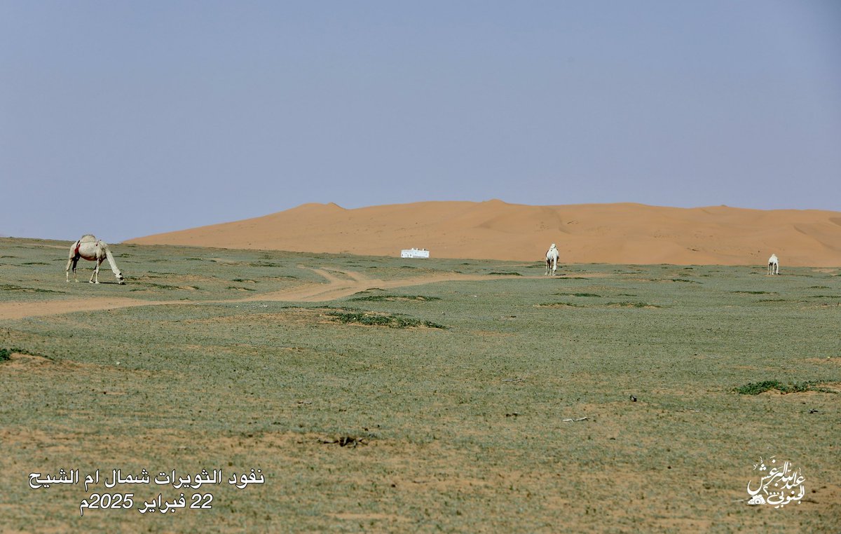 عبدالله البرغش (الجنوبي 2000) tweet media