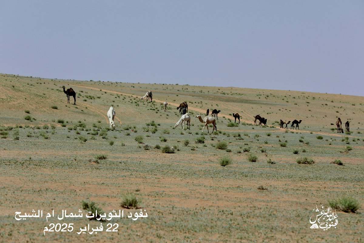 عبدالله البرغش (الجنوبي 2000) tweet media