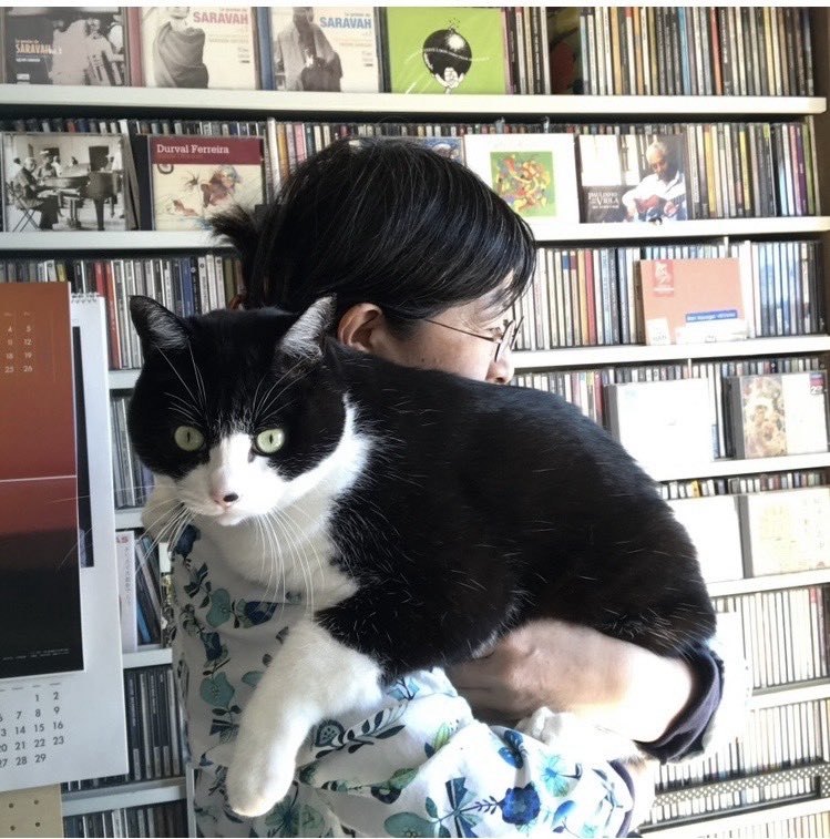 #猫の日
そしてコロっちは、いま信じられないくらい9キロくんと呼ばれた大猫だった。