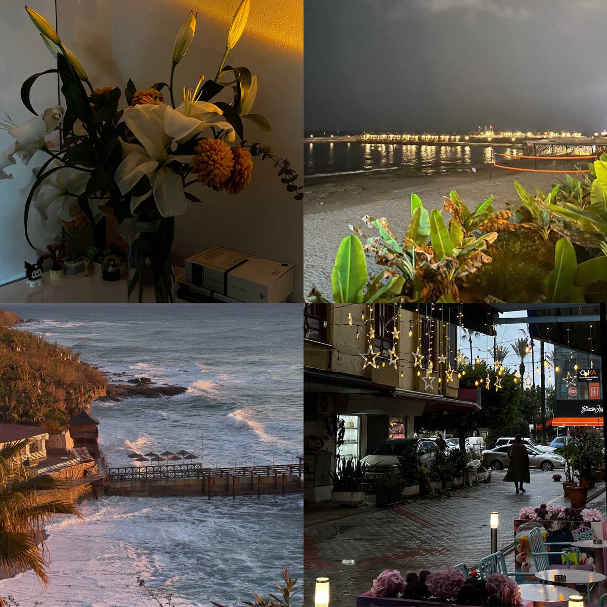 xxii.i–ii.mmxxvi • alaiye