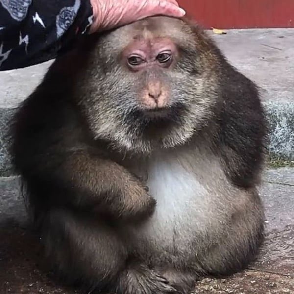 This is a coded post🤫

$Xingxing