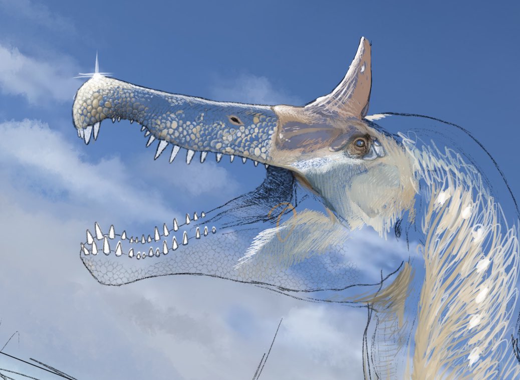 Tyranno-san/ティラノさん (@TYrannoSAn54342) / Posts / X