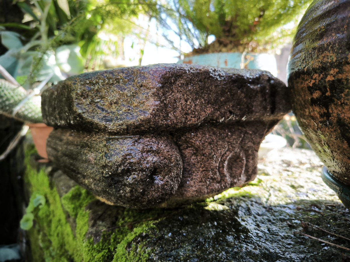 vilabotanes's tweet image. O outro día falando con @navoltadafolla sobre cousas romanas de #Tui comentáballe sobre un capitel romano na rúa Ouro da cidade
Ten características xónicas pero o que o fai especial foi o seu reaproveitamento medieval tallando sobre el un alquerque, un taboleiro de xogos 🤔