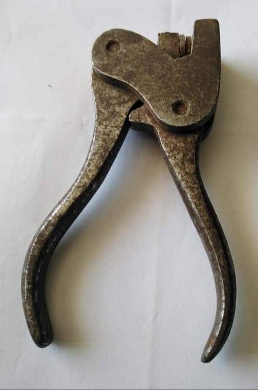 Bil Bakalım tweet media