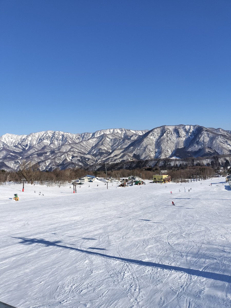 はやみん tweet media