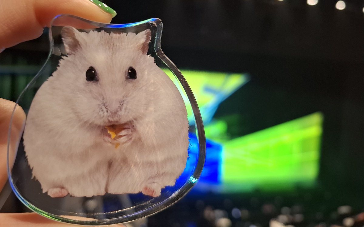 털동물 사랑하는 비양 tweet media