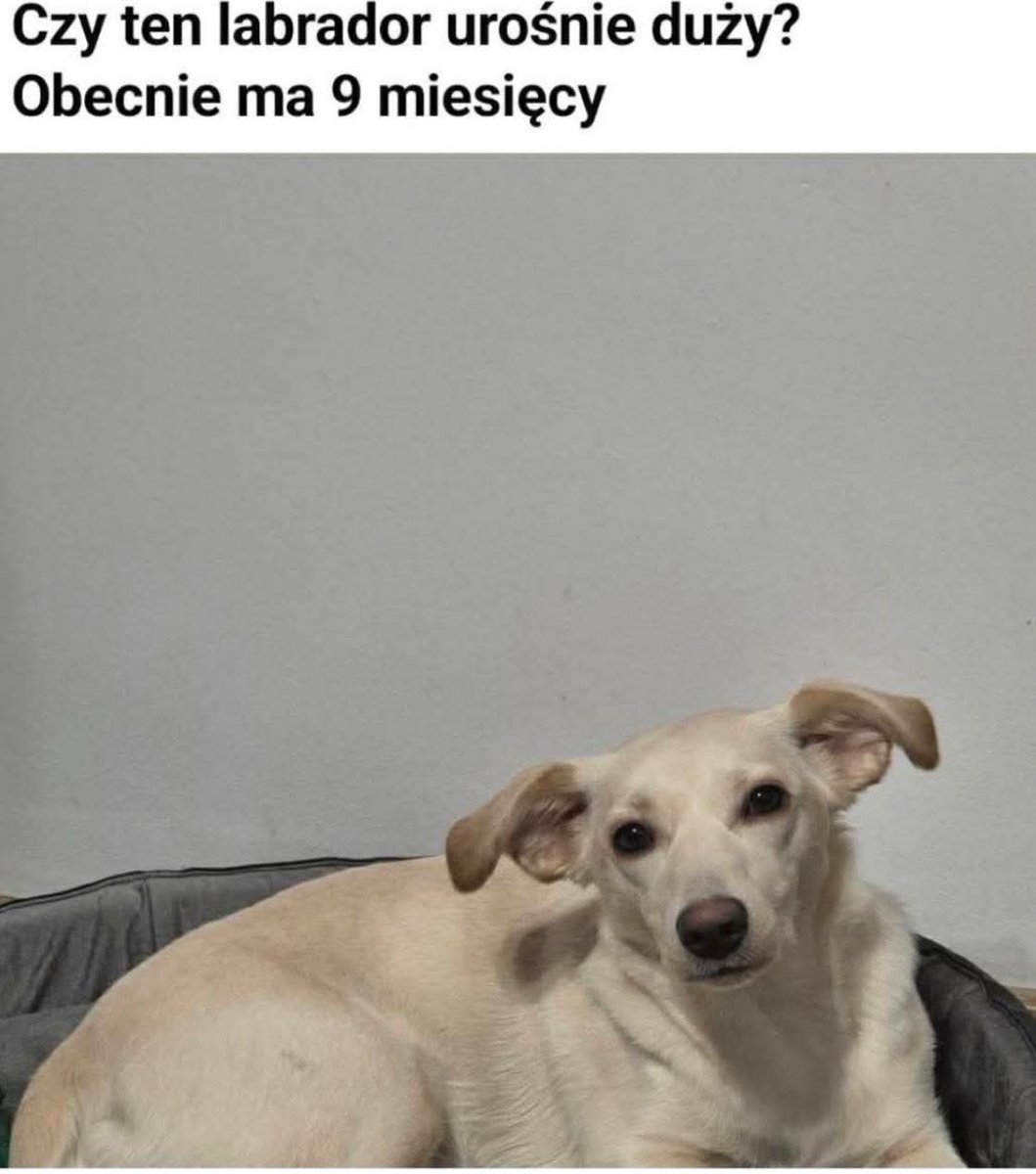 twój stary żeglarz (@pocozycidk) on Twitter photo 