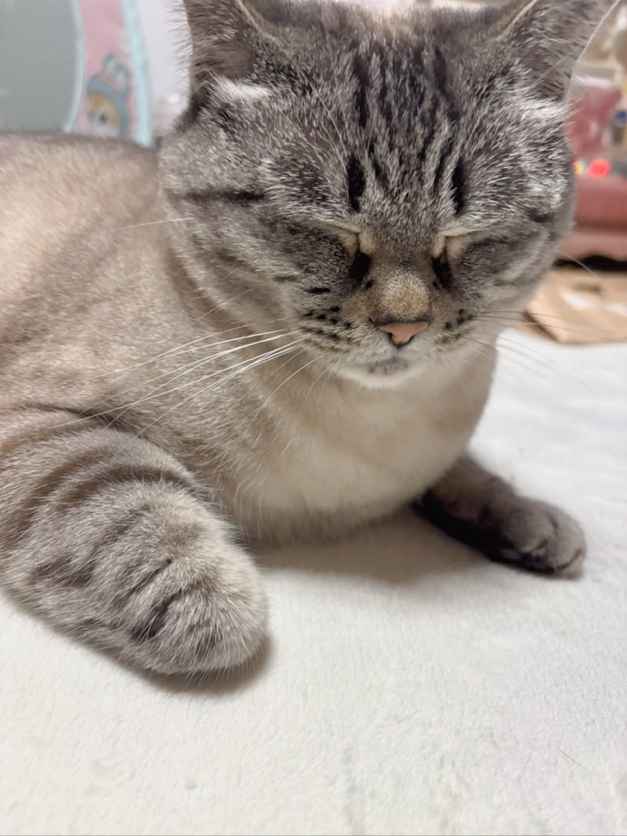 ふぅ (@fuchan0606) / Posts / X