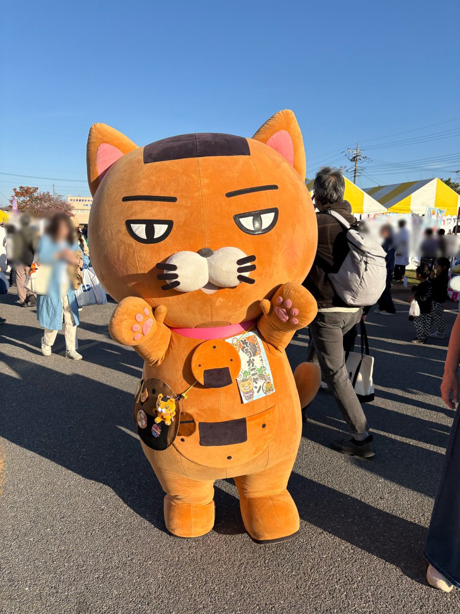 そうかニャンも、今日がお誕生日です🎂🎉 222(ニャンニャンニャン)で猫