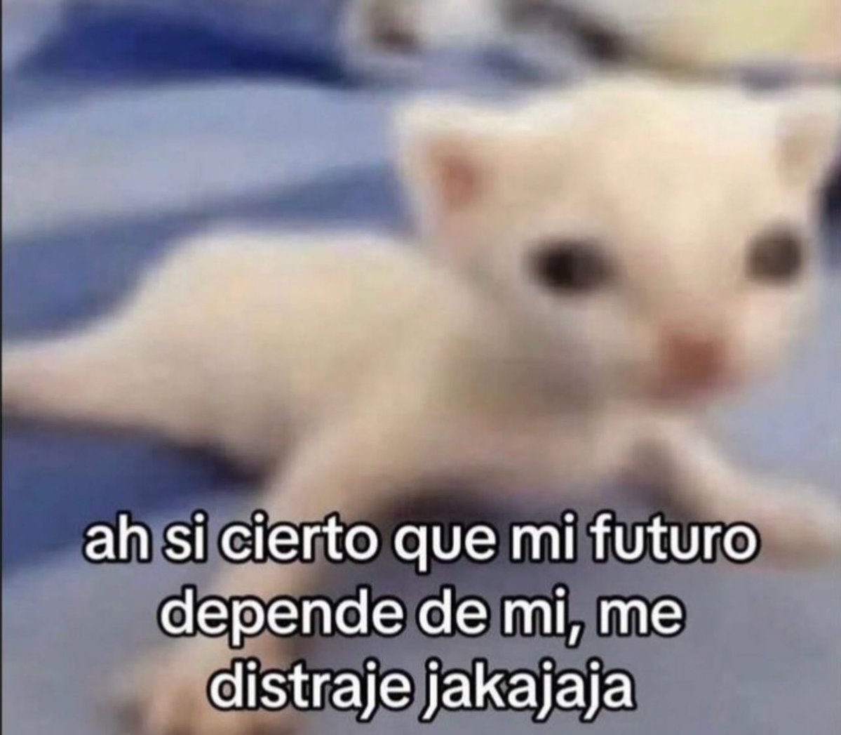 piña sin pizza (@skereunpesado) on Twitter photo 