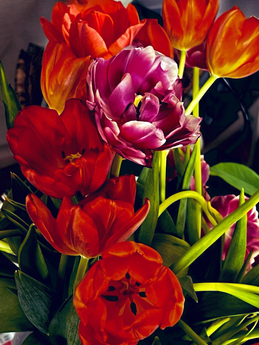 juju52🛫✨ (@juju521) / Posts / X