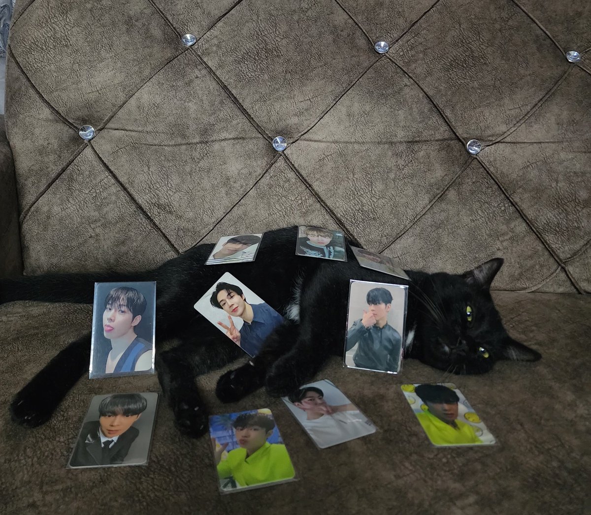 colorsdw's tweet photo. ㅋㅋㅋㅋ https://t.co/wO0wI16XZW