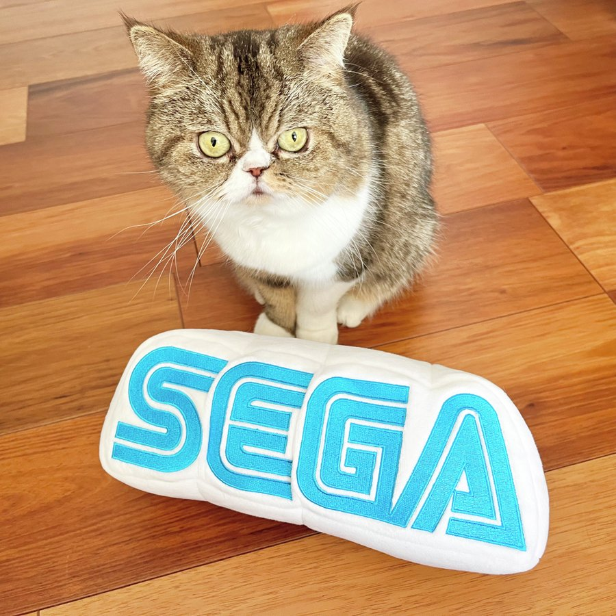 raphiwifsol tweet media