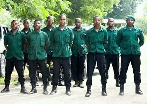 Oktoba29's tweet image. Zaidi ya 80% wasiojulikana ni Green Guard
Madogo wanajikutaga wamemaliza kila kitu, hakuna central hawatoki hawa madogo, kuna muda wanakuwaga traffick wanaongoza misafara ya CCM road, na cops wanakaa pembeni

Hawajui chochote hawa madogo, hawajui hata six weeks, ila wanapewa AK47