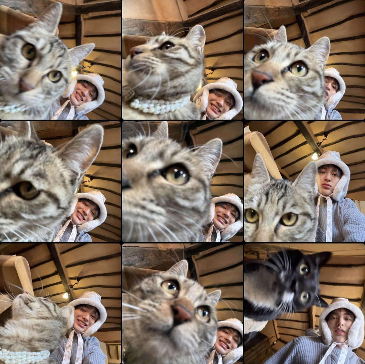 กุจะบ้า น้องกอนโฮโคตรขี้งอน แมวไม่เล่นด้วยเลยบอกแมวไม่น่ารักเลย คือไม่น่ารักจิงมั้ยมันมีหลักฐานน้า ถ่ายรูปคู่กันอย่างเยอะ แล้วยิ้มแฉ่งทุกรูปด้วย 555555