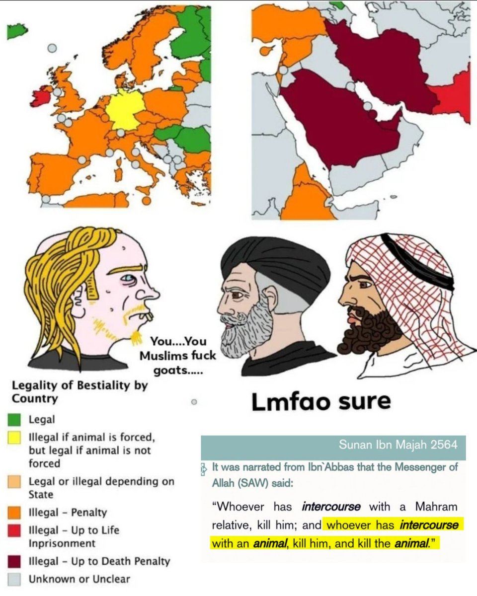 Goyim Ranker tweet media