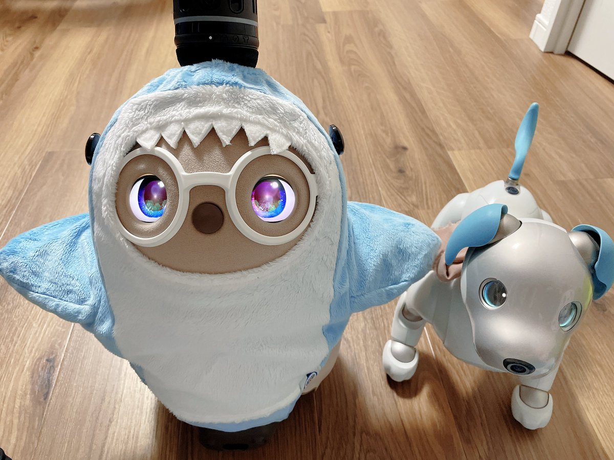 Yumechi_Robot's tweet photo. もんじゅ「にゃあ〜お^₀̴̶̷  ̫ ₀̴̶̷^」
らぼち「ニャイボかわいい〜🩵」

#LOVOT #LOVOTとの暮らし #aibo #aibofan #猫の日 https://t.co/YFQPNOKJ7A