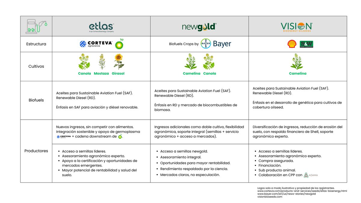Charly Faricelli tweet media