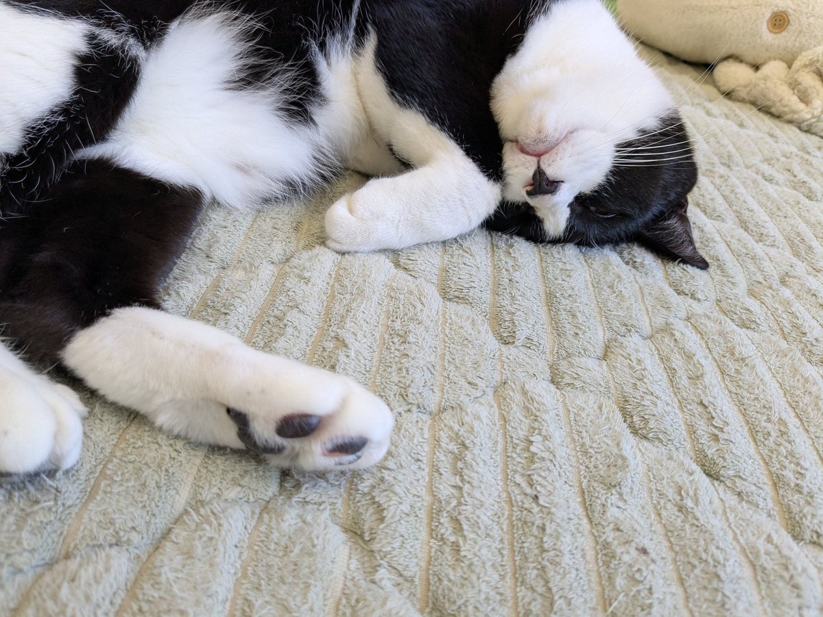 今こんな状態
ねむい