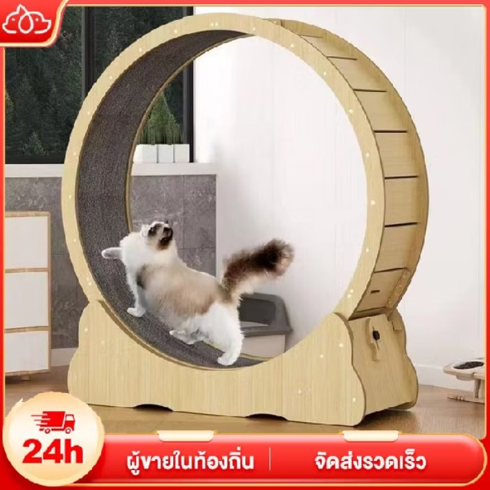 pakkatra's tweet photo. ลู่วิ่งแมว 
พิกัด :  https://t.co/VC0oLTZrfg
#ลู่วิ่ง #ของเล่นแมว #fypシ https://t.co/aP6yzLtCgN