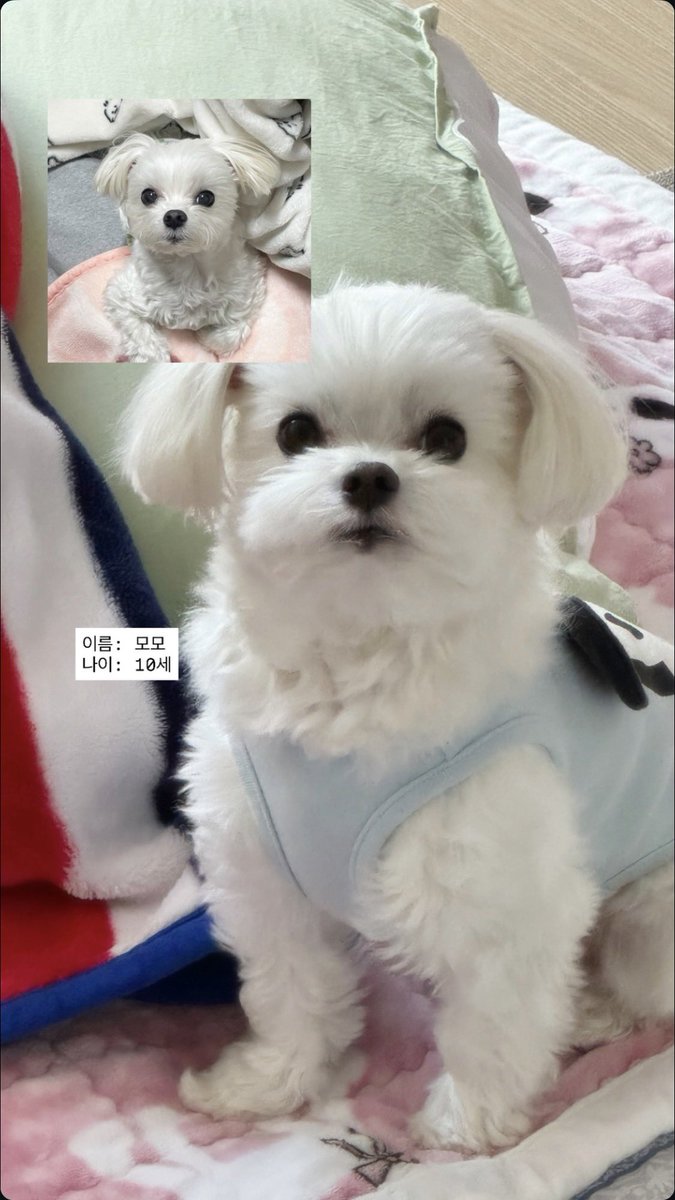 강길달 tweet media