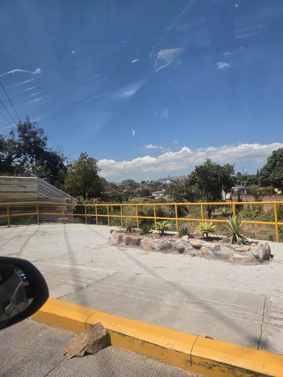 Lucía Hernández tweet media