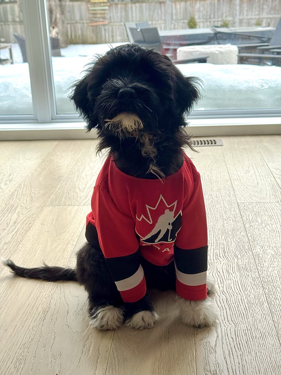 Kate Udle tweet media