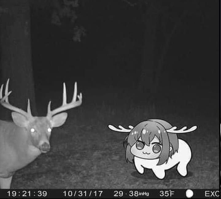 Notsu311406's tweet image. 