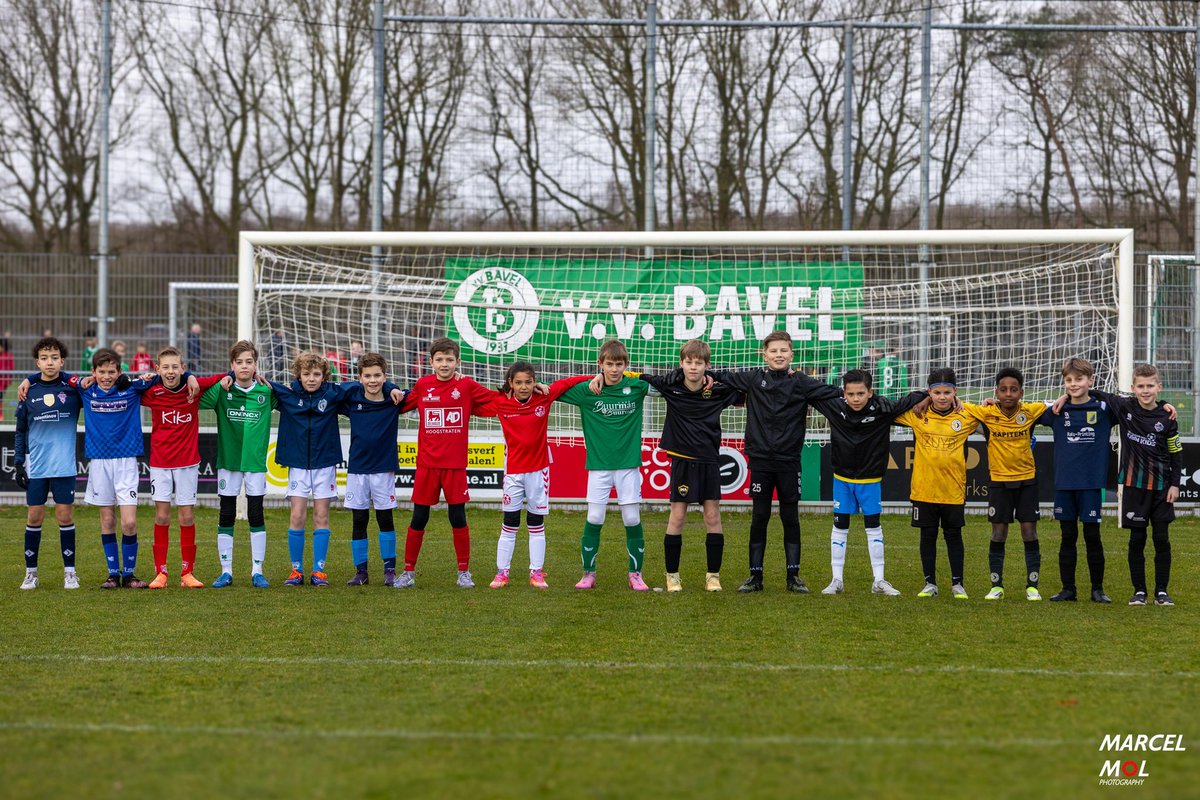 V.V. Bavel tweet media