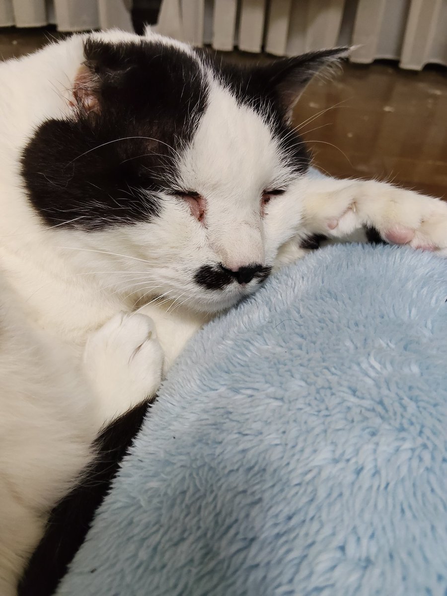 みのり♬*° tweet media