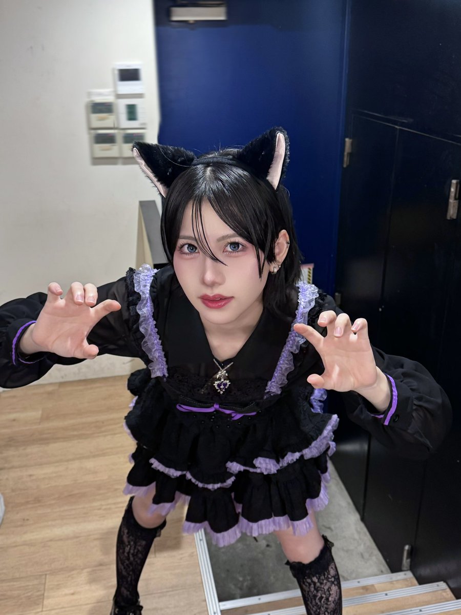 ✝️ にゃんにゃんにゃにゃにゃん！ にゃんにゃにゃにゃーん！イベント