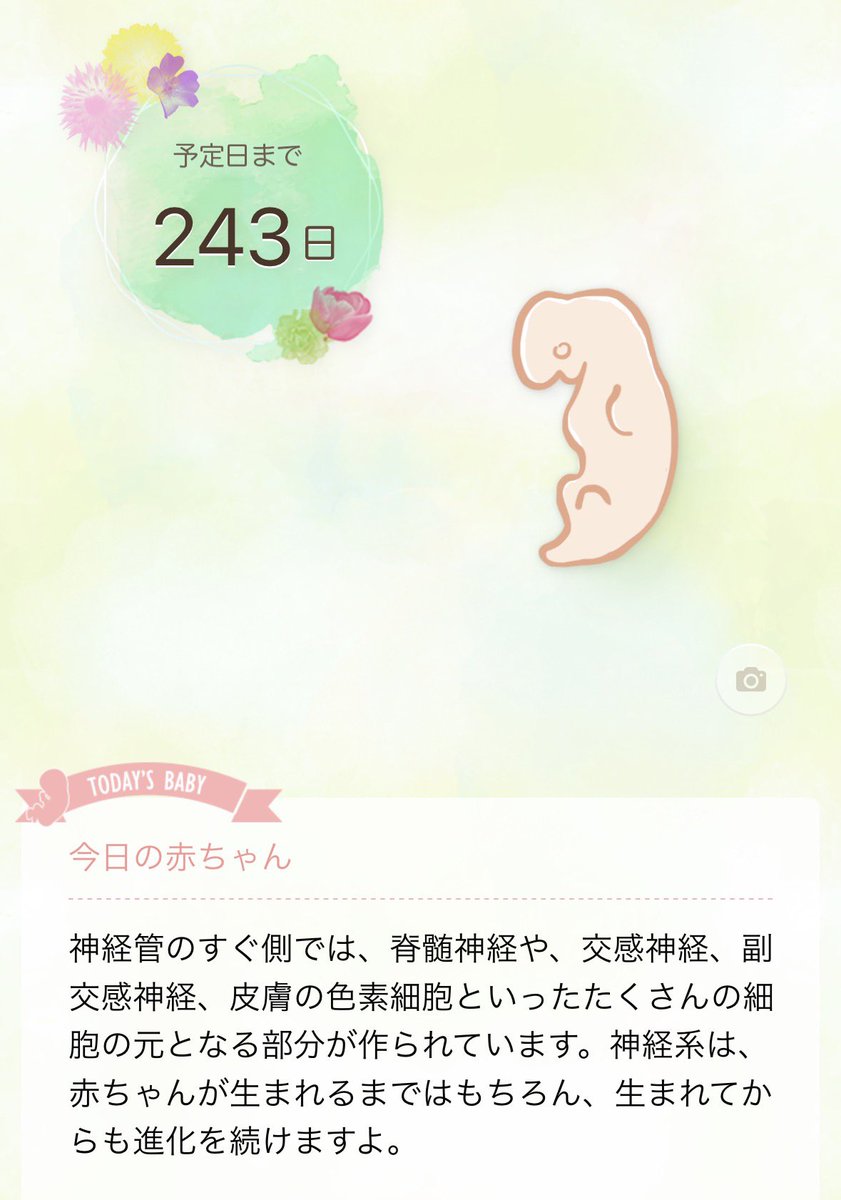 それでも生きる tweet media
